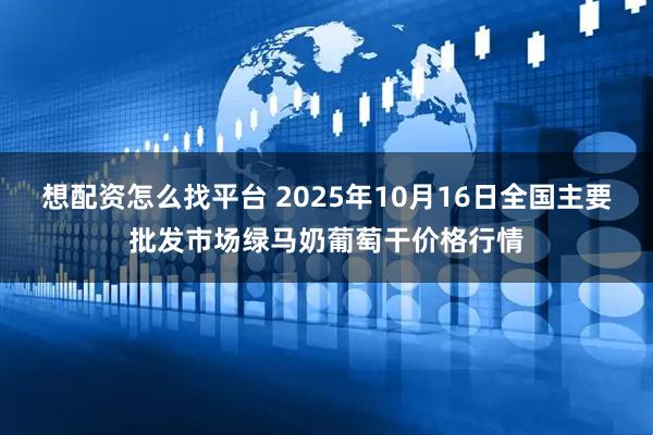 想配资怎么找平台 2025年10月16日全国主要批发市场绿马奶葡萄干价格行情