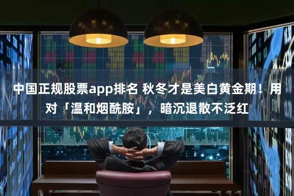 中国正规股票app排名 秋冬才是美白黄金期！用对「温和烟酰胺」，暗沉退散不泛红