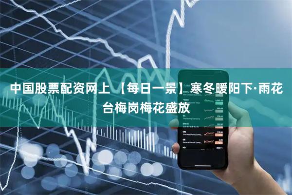 中国股票配资网上 【每日一景】寒冬暖阳下·雨花台梅岗梅花盛放